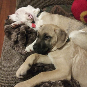 Meet your Posher, Karolyn